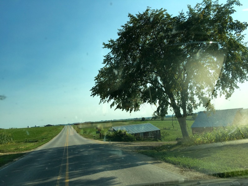 a0199262_12123888.jpg