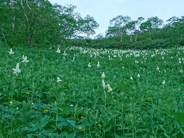 c0260463_05484067.jpg