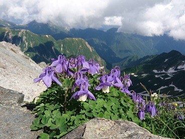 c0260463_06191819.jpg