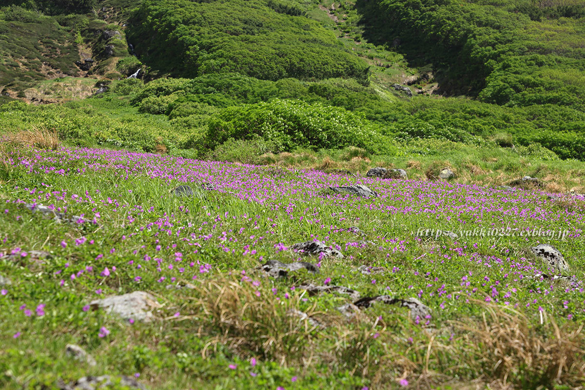 f0054366_10255791.jpg