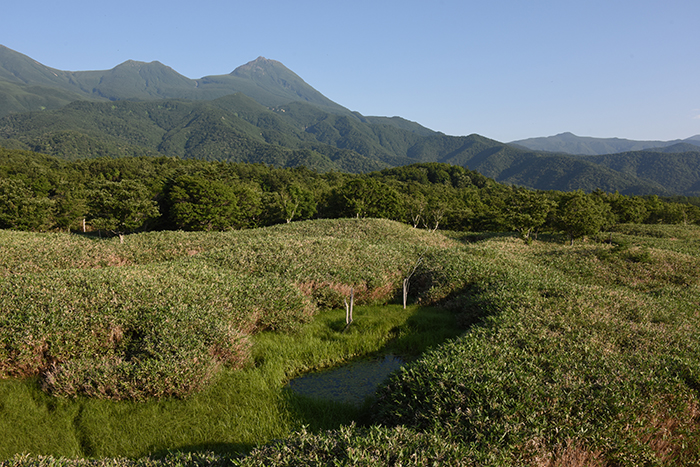 日本の絶景!世界遺産・北海道知床五湖写真(画像)アップ!_e0171573_15252932.jpg