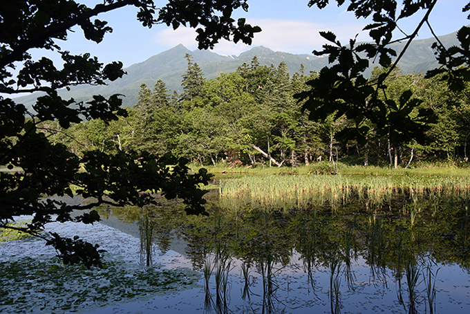日本の絶景！世界遺産・北海道知床五湖写真（画像）アップ！_e0171573_15273125.jpg
