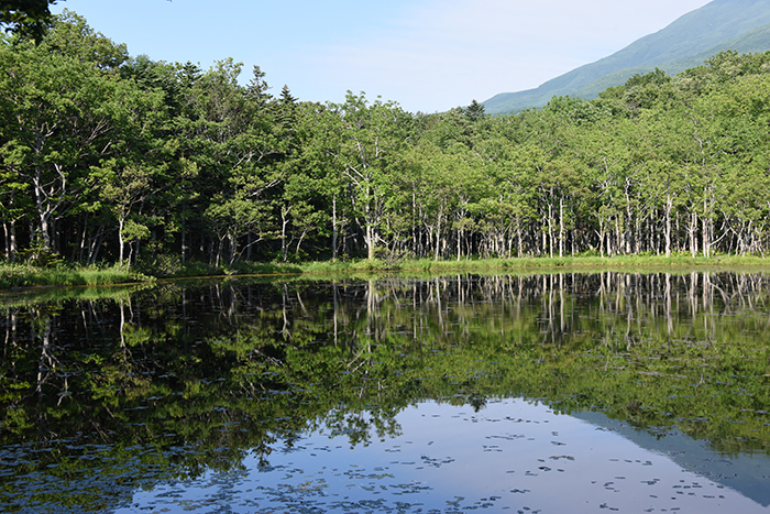 日本の絶景！世界遺産・北海道知床五湖写真（画像）アップ！_e0171573_15275964.jpg