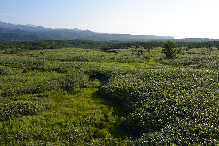 日本の絶景!世界遺産・北海道知床五湖写真(画像)アップ!_e0171573_15284650.jpg