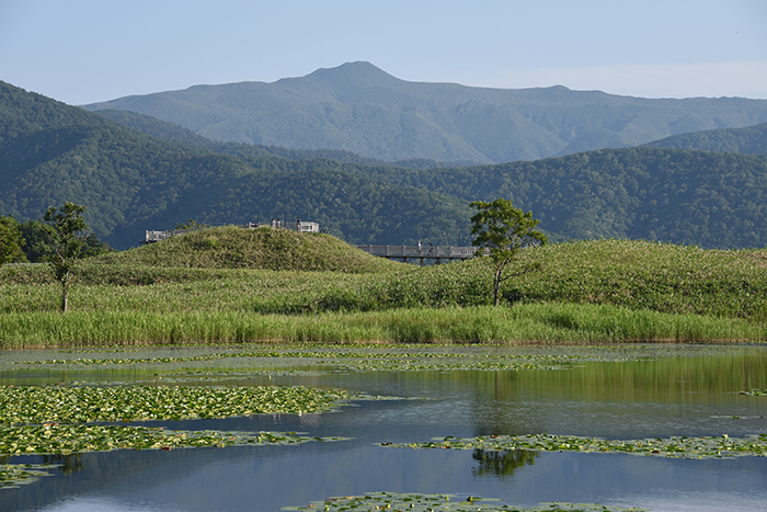 日本の絶景！世界遺産・北海道知床五湖写真（画像）アップ！_e0171573_1529749.jpg