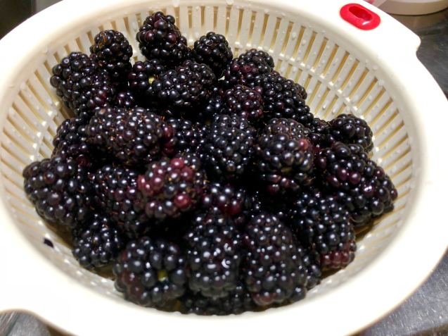 f0168374_09174611.jpg