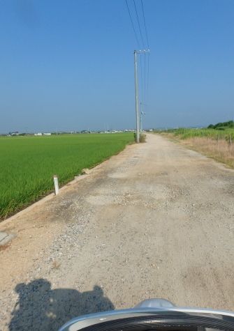 d0377780_21341101.jpg