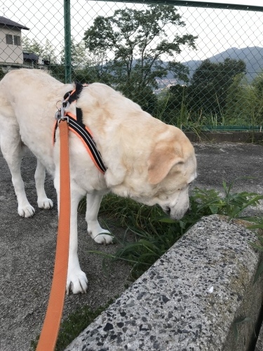 f0315081_21471207.jpeg