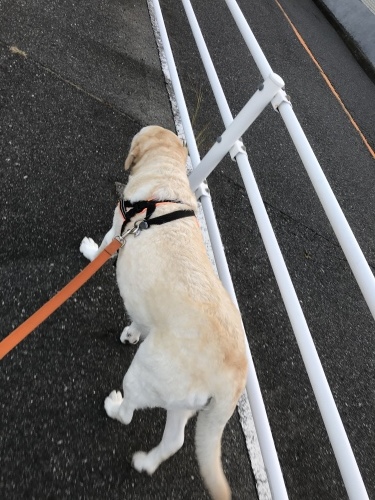 f0315081_21503337.jpeg