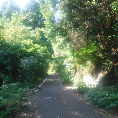 d0195183_00072269.jpeg