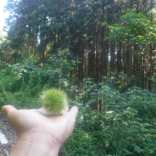 d0195183_00074863.jpeg