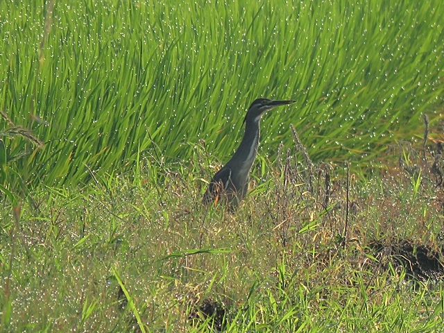 f0357487_21303158.jpg