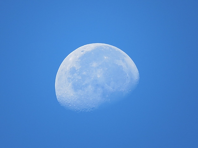 f0357487_21342818.jpg