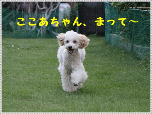 b0175688_23281280.gif