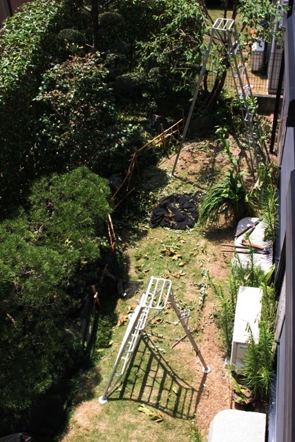 f0229190_15561380.jpg