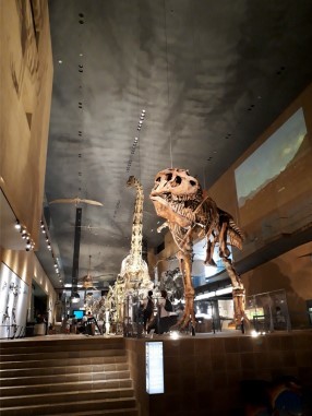f0297893_19000926.jpg