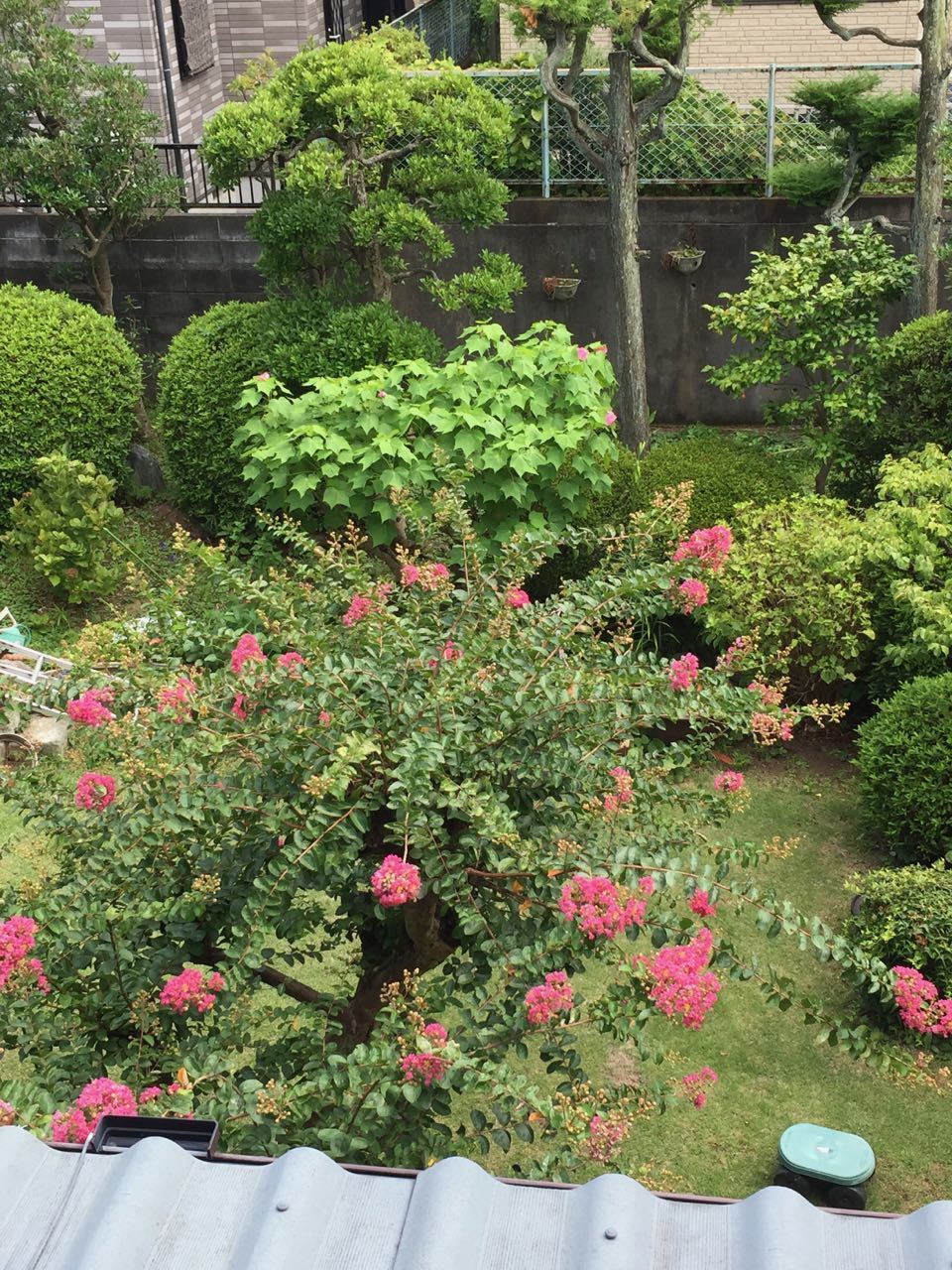 f0130894_20130347.jpg