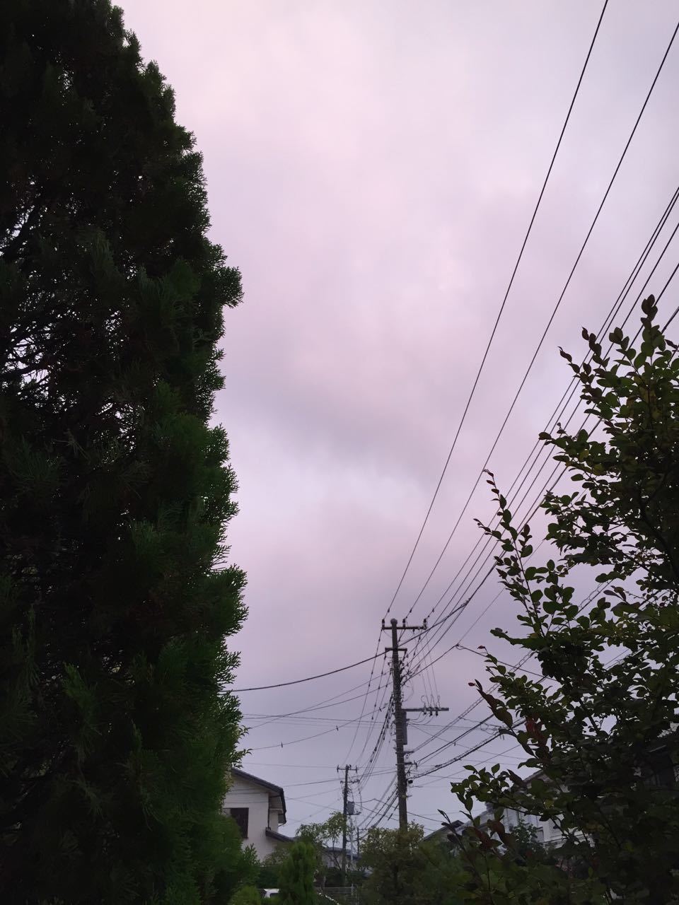 f0130894_20143132.jpg