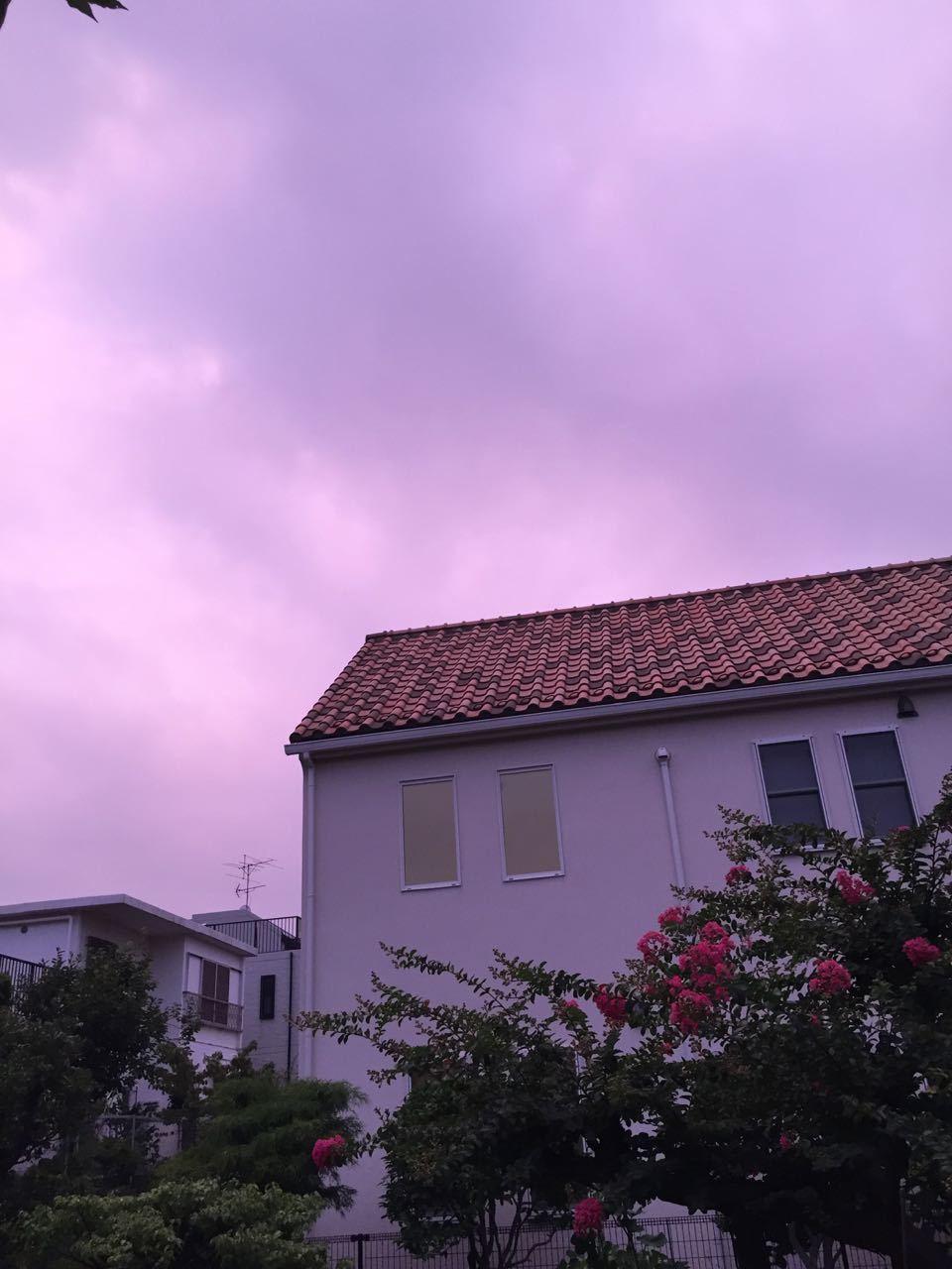 f0130894_20143429.jpg