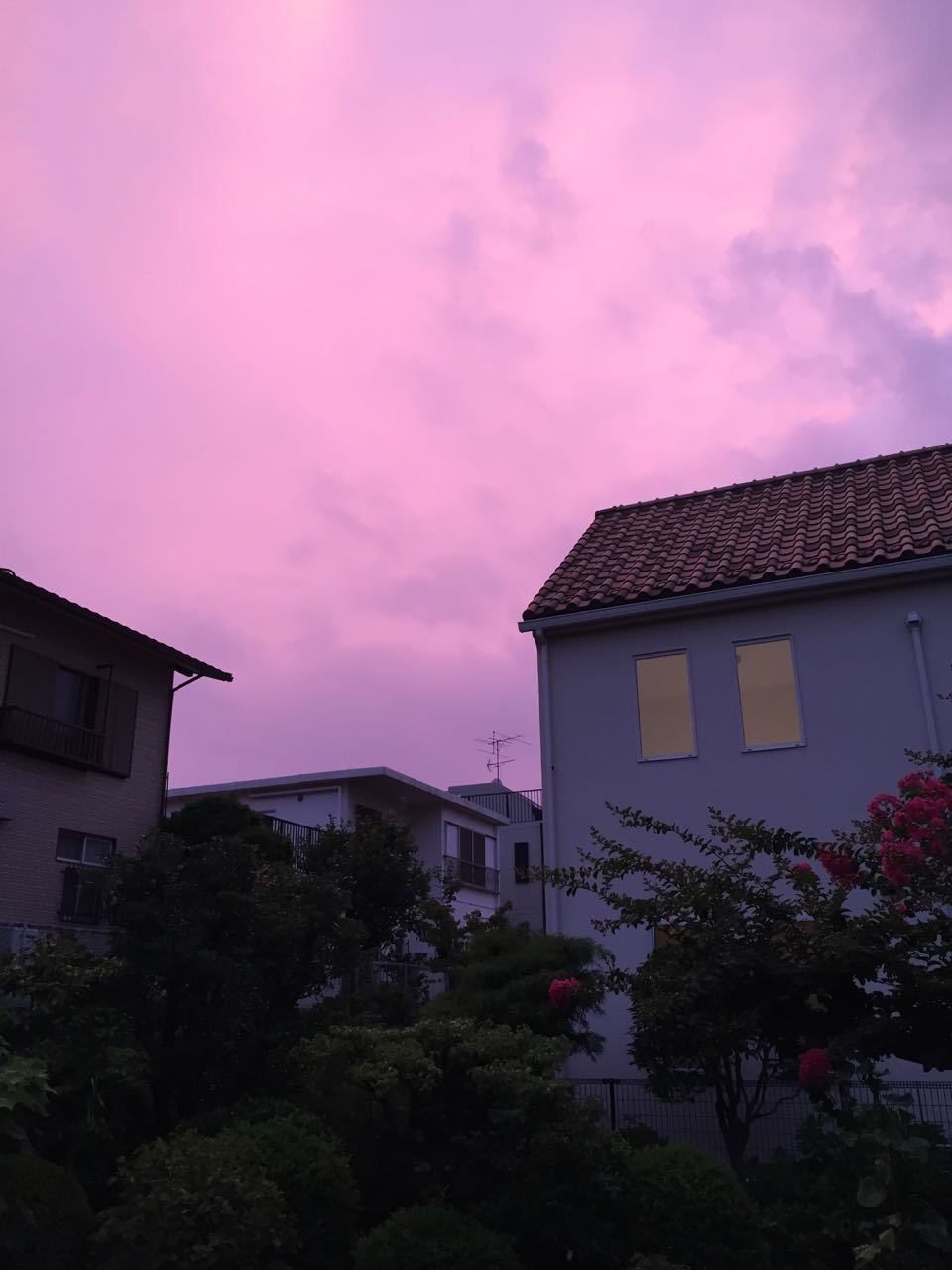 f0130894_20143758.jpg