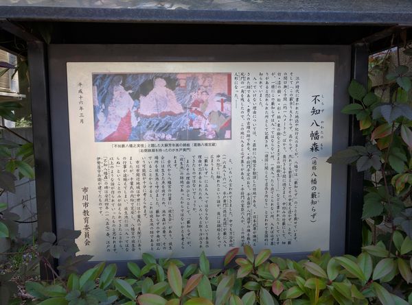 八幡の藪知らず 入ったらダメ の禁足地に行ってみた 御朱印の森 八幡の藪知らず 入ったらダメ の禁足地に行ってみた 御朱印の森