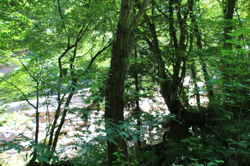 滑川温泉・滑川大滝へ　２０１８．８．４　快晴　（5）_c0075701_20330938.jpg