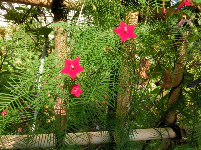 a0203003_13091217.jpg