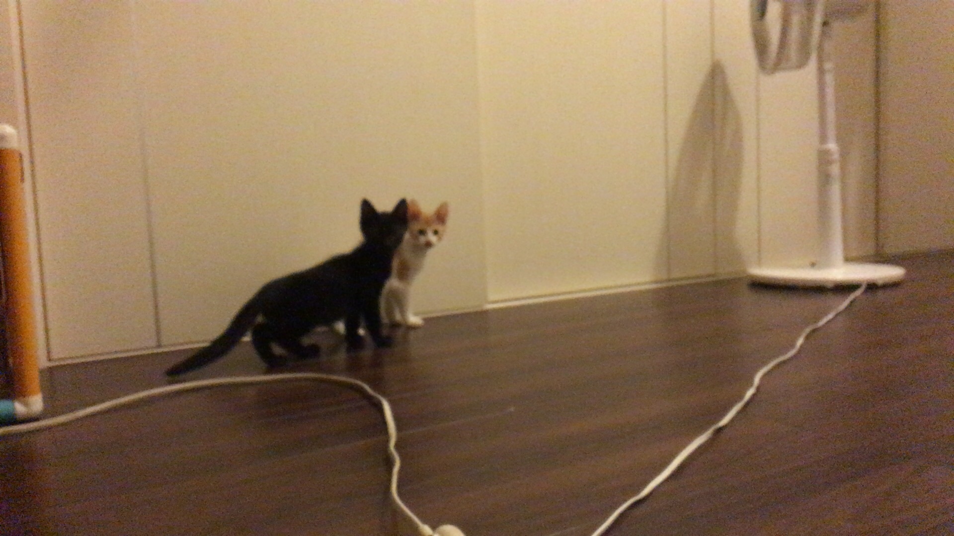 営業日です!_f0255704_14024345.jpg