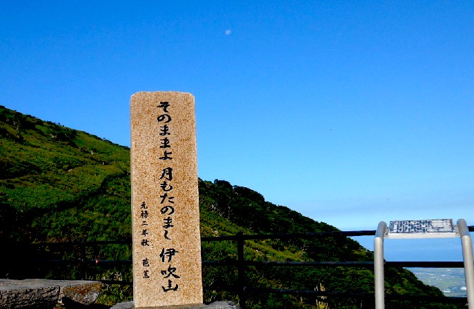 d0140806_621743.jpg