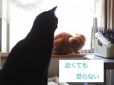 b0200310_09204098.jpg