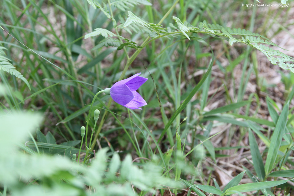 c0189013_08040700.jpg