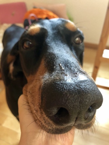 c0324418_12300468.jpeg