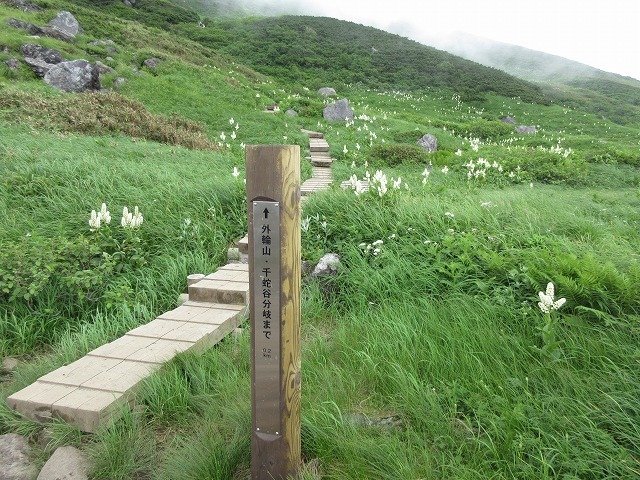 遊佐町　鳥海山の花図鑑　　　　　Mount Chōkai in Yuza, Yamagata_f0308721_12514293.jpg