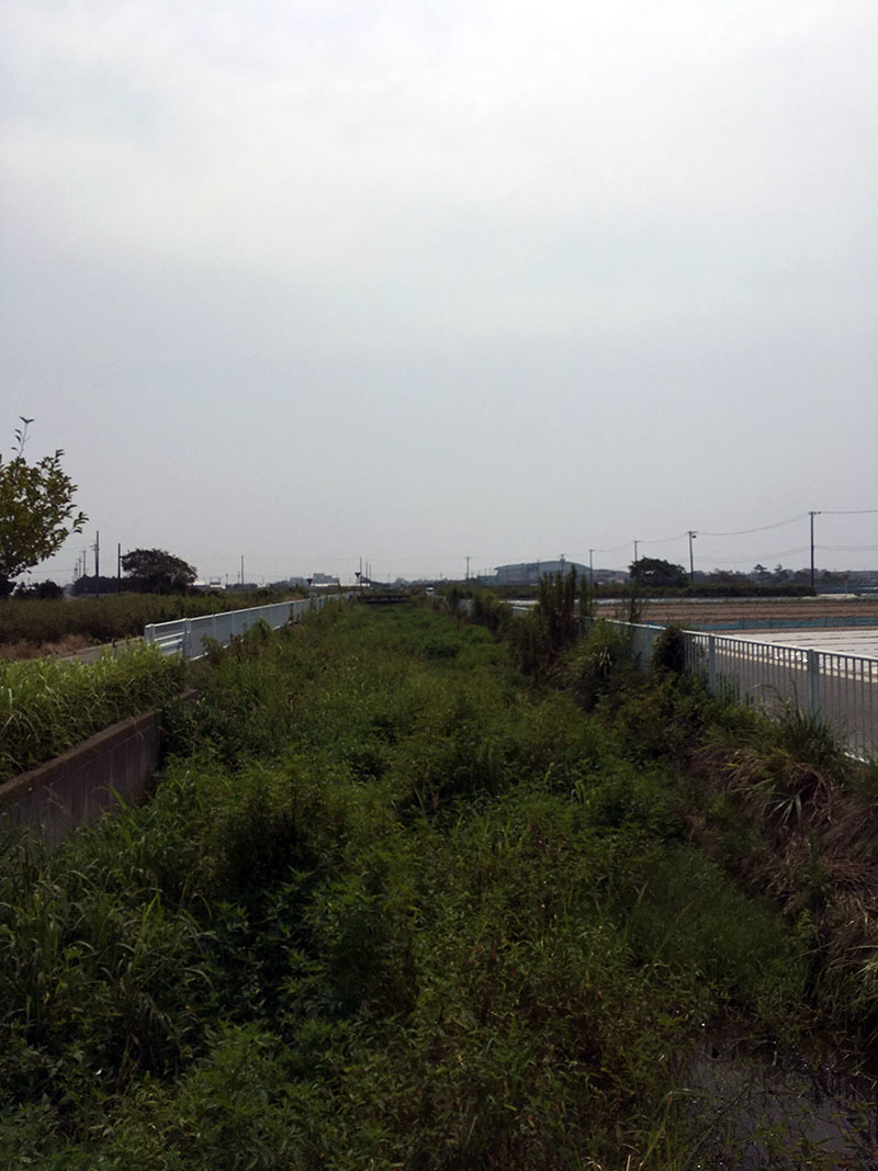 b0302227_14033577.jpg
