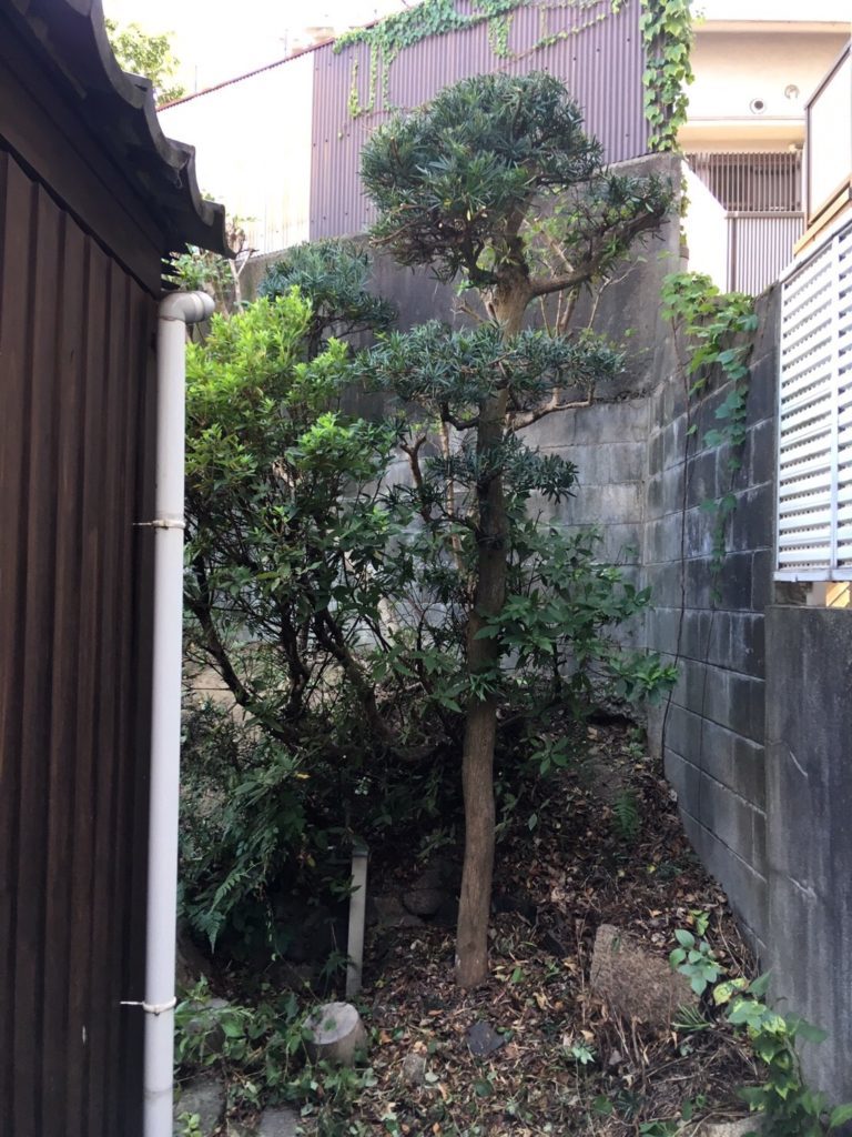 f0125927_18013962.jpeg