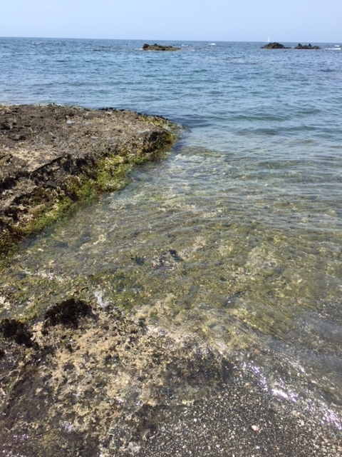 平日のエビカ浜 自然と遊楽