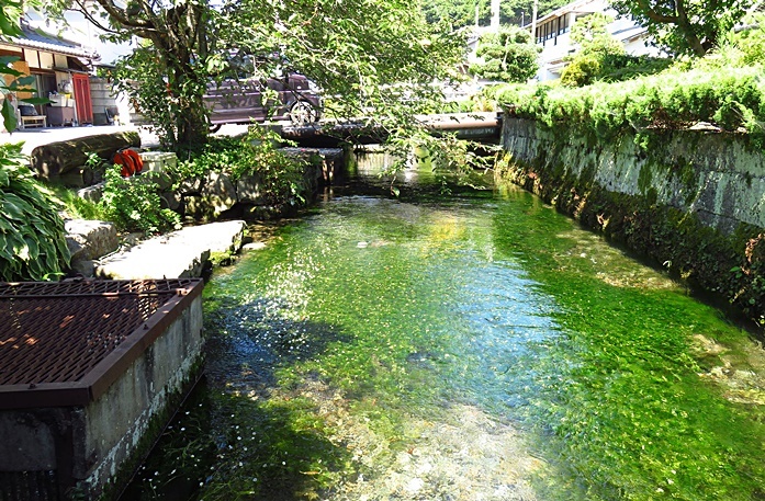 f0089644_14113123.jpg