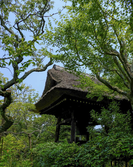 a0247450_07250558.jpg