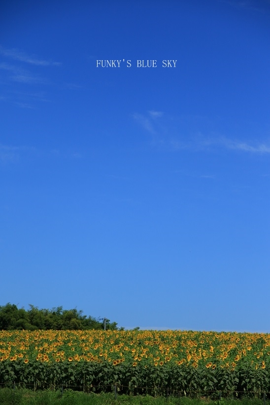 c0145250_09420038.jpg