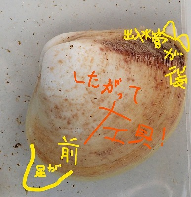 c0180460_14372284.jpg