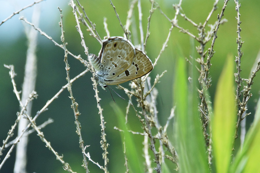 d0387460_13425631.jpg