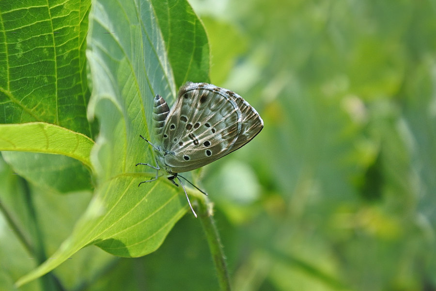 d0387460_13432400.jpg