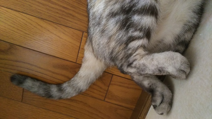 トップの完成と可愛いヘアゴム♪_f0374160_21293297.jpg