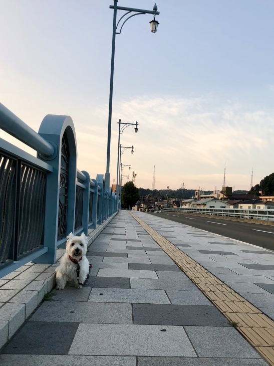 f0363961_07184066.jpeg