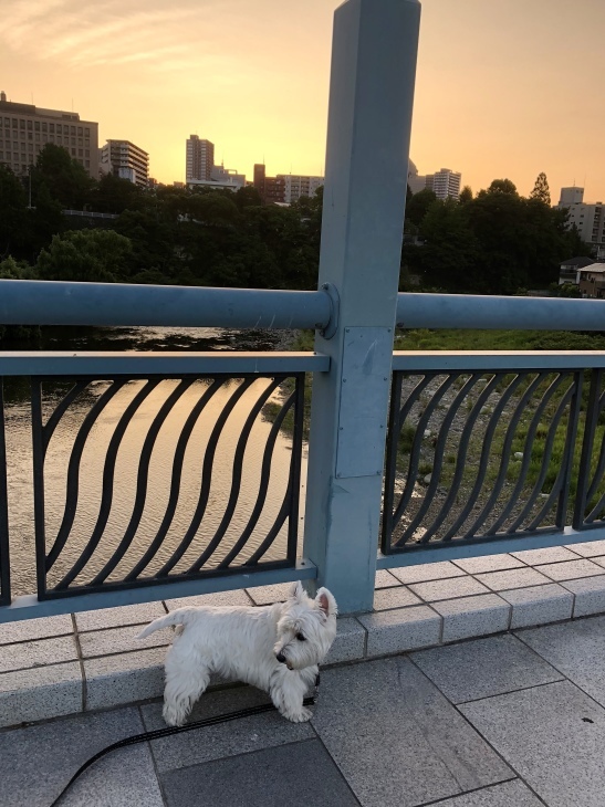 f0363961_07190780.jpeg