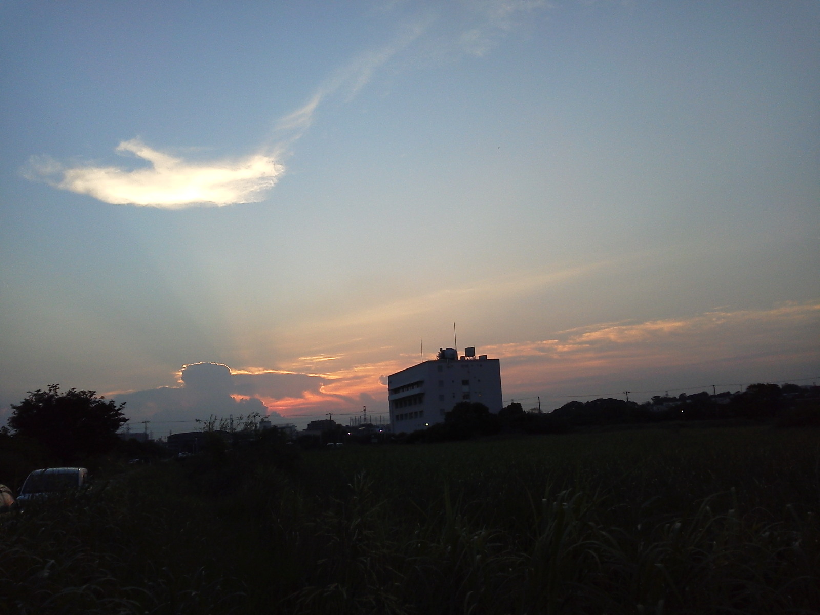 b0155973_15390549.jpg