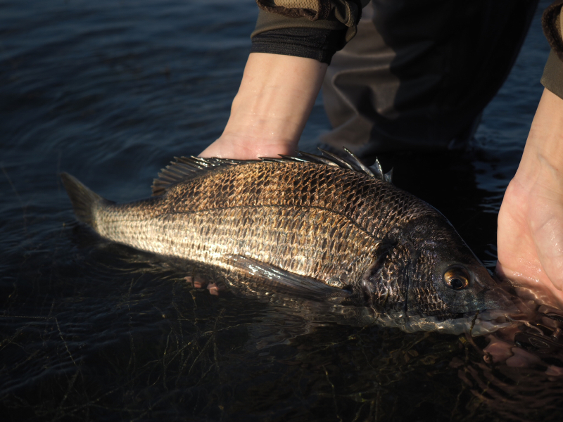 釣れない要因の探り方_f0378773_20131227.jpg