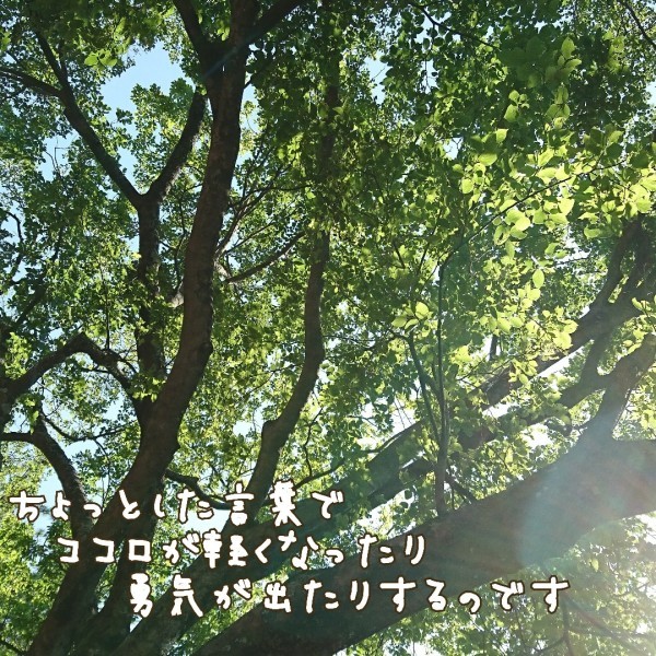 e0063675_18042351.jpg