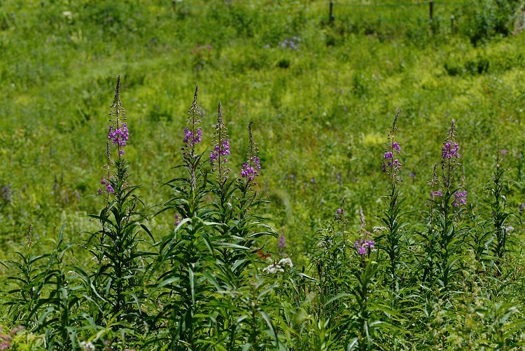 d0341880_08104359.jpg