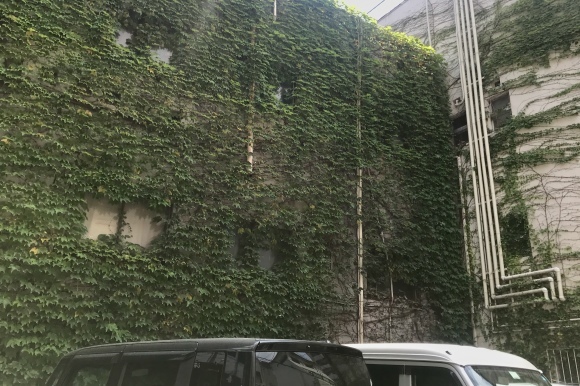 e0024081_10330647.jpeg